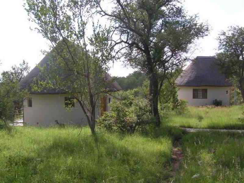 Mbizi Bush Lodge Phalaborwa Buitenkant foto