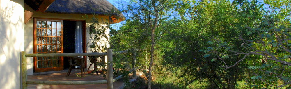 Mbizi Bush Lodge Phalaborwa Buitenkant foto